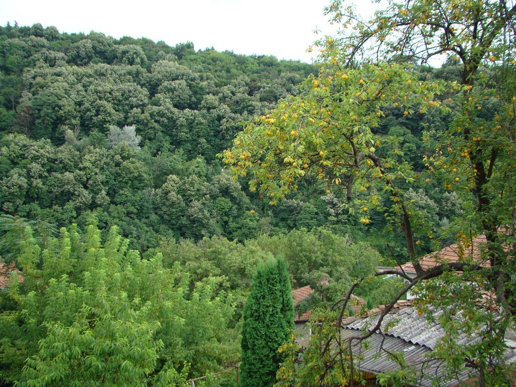 Guest House Selin Veliko Tarnovo Buitenkant foto
